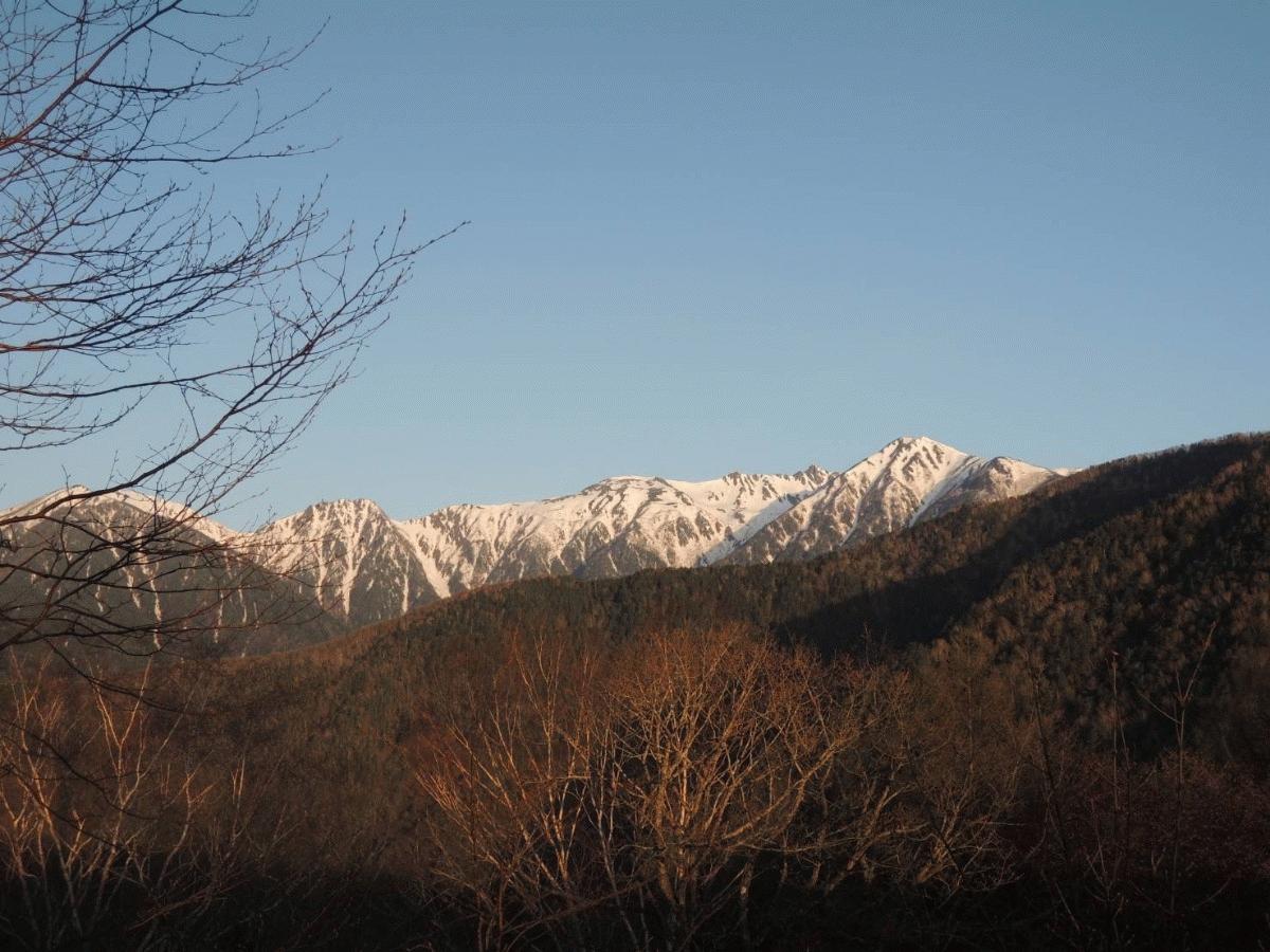 IMG_8813.jpeg